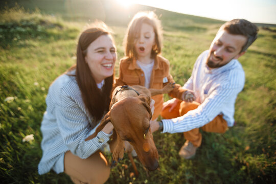 A hipster family walks in a summer field.