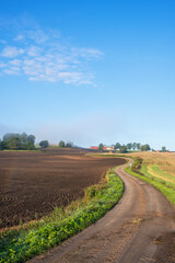 Fototapeta na wymiar Winding dirt road in a rural landscape
