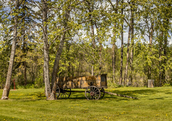 Fototapeta na wymiar Wagon on the grounds Fort Normandeau Red Deer Crossing Red Deer Alberta Canada