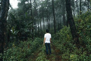 Naklejka na ściany i meble man walking in the forest in the rainy season