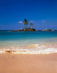 sand beach, sea, palm island, island, palm trees, house, hut, lonely, solitude, beach, water, seclusion, idyll, silence, tranquillity, nobody, 