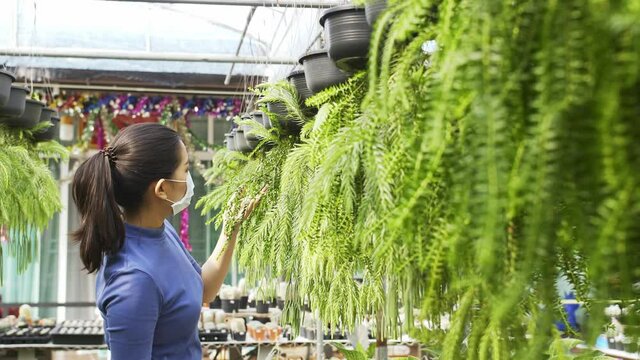 A masked asian woman touches the leaves and examines the plants hanging in front of her in a plant store