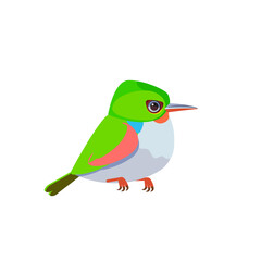 Cuban tody or jamaican tody. Exotic small tropical bird isolated on white cartoon vector illustration ornithology todus todi fauna cute green colorful wildlife