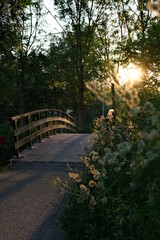 bridge in the park during warm sunset