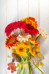 Autumn Seasonal Flowers Background. White wooden table backdrop with red, yellow and orange gerbera flowers flatlay top view copy space