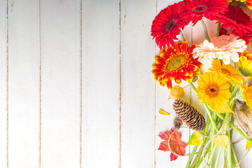 Autumn Seasonal Flowers Background. White wooden table backdrop with red, yellow and orange gerbera flowers flatlay top view copy space