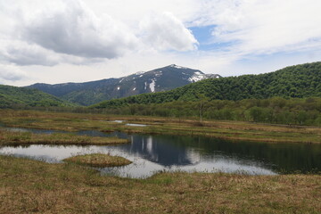 Fototapeta na wymiar 尾瀬/6月。　まだ水芭蕉が咲き残る初夏の尾瀬ヶ原。山、空が写る池。至仏山を移す池塘。