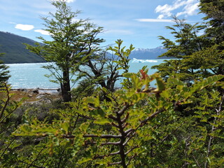 Perito Moreno Glacier in Patagonia Argentina