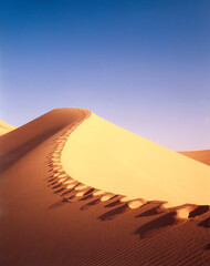 Fototapeta na wymiar africa, sahara, sand dune, footprints, 