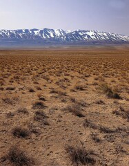 africa, morocco, high atlas, grass steppe, north africa, mountains, steppe, aridity, drought, hostile, plain, landscape, nature, vastness, solitude, wasteland, 