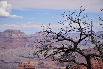 Obraz premium park state