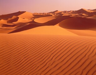 Fototapeta na wymiar sahara, great western erg, sand dunes, desert, sand, dunes, desert landscape, 