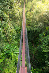 Suspension bridge, walkway to the adventurous, cross to the other side.