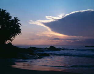 Fototapeta na wymiar sea, beach, palm trees, morning mood, 