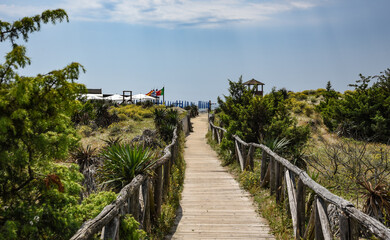Sentiero fra le dune per raggiungere la spiaggia di Vecchiano