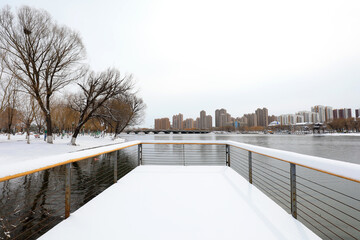 Snow view of city park, North China