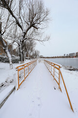 Snow view of city park, North China