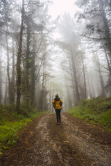 Fototapeta premium A young girl walking in the yellow jacket in the foggy forest. Spring on the path from Ispaster to Lekeitio, landscapes of bizkaia. Basque Country