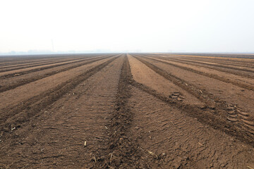 Flat land ready for cultivation, North China