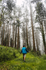Obraz premium A young man walking in the blue jacket in the foggy forest. Spring on the path from Ispaster to Lekeitio, landscapes of bizkaia. Basque Country