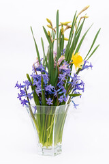 Spring flowers on white background