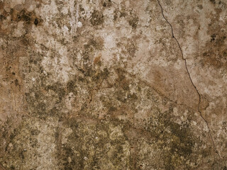 Cement floor for plastering walls and walls to be beautiful.