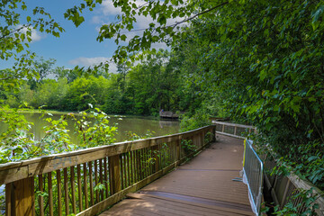 Naklejka na ściany i meble a brown wooden bridge over the lake water with lush green trees and plants reflecting off the water with blue sky and clouds on the Doll's Head Trail at Constitution Lakes in Atlanta Georgia