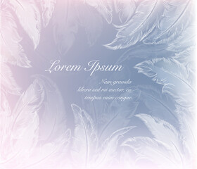 feather background © Andrei Kukla