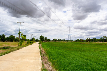 Fototapeta na wymiar The road on the rice fields is under high voltage poles.