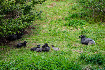 Norwegian fjord city landscape