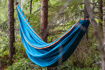 Empty hammock hangs on the pine trees in the forest, at the camp. Lifestyle.