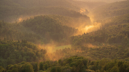 Fog moves through the Waldprecht Valley in the Northern Black Forest during the golden hour