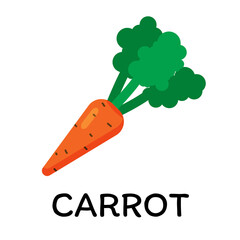 Carrot, vector illustration in cartoon flat stye. Food and vegetable concept. Print for recipes, restaurant, supermarket, market place. Vegetarian fresh food product for sticker, grocery shop