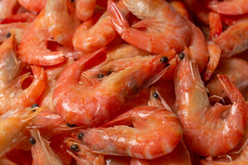Shrimps background texture. A lot of shrimps. Cooked shrimps.