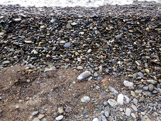 blue sky, green forest, summer day, tree shadows	
