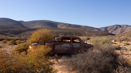 Abandoned rusted car wreck in a desert. The car rolled in the accident and was flattened, plants have started to grow around it.