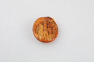 The seeds of the wisteria in the legume are in a white background