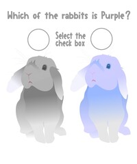 Children's educational activities. How many objects are there in the drawing? Find the differences. How many colors are there in the drawing? Tasks for children. Teaching children. Preschoolers. 