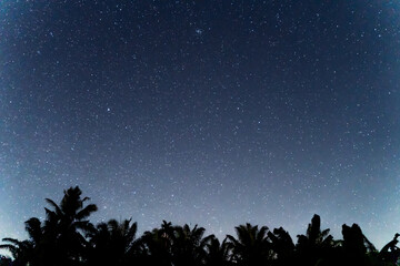 Fototapeta premium Abstract background of celestial stars, blurred wallpaper of the Milky Way at night, is a natural beauty. Seen during the time of the season in Thailand.