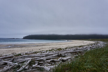 Aussicht auf den Strand im provincial park cape scott auf vancouver island