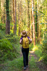 Naklejka na ściany i meble Traveler woman wearing a hat and looking at the forest pines, hiker lifestyle concept, copy and paste space, forests of the Basque country. Spain