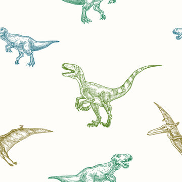 Hand Drawn Dinosaurs Vector Seamless Background Pattern. Tyrannosaurus, Velociraptor and Pterodactyl Colorful Sketches Card, Wrapping or Cover Template