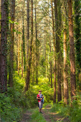 A young father with a hat and with his son in his backpack and looking at the pine trees in the woods, hiker lifestyle concept, copy and paste space, forests of the Basque country. Spain