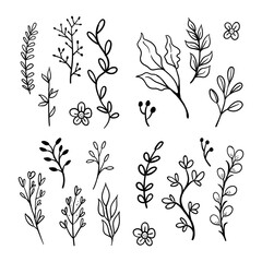 Floral graphic elements vector set. Flowers and plants hand drawn illustrations. Leaves and branches.