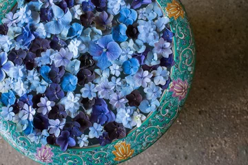 Foto auf Acrylglas Hydrangea flower petals floating in bowl of water　アジサイの花手水 鎌倉の一条恵観山荘 © wooooooojpn