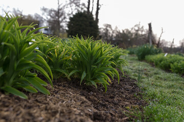 Schaugarten Weihenstephan
