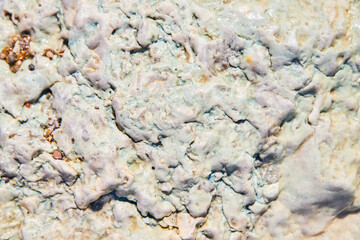 Texture surface of lake rocks