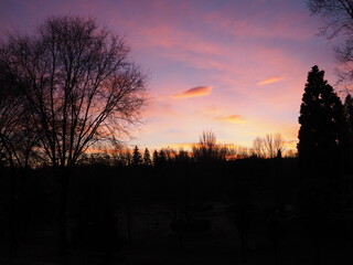 A day of inverse with absurdly natural colors 2
