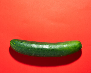 Single cucumber on a red background
