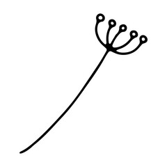 Doodle delicate twig. Hand-drawn cute plant isolated on white background. Herb with small buds. Vector floral illustration for interior, gardening, holiday, wedding. Minimalistic botanical poster